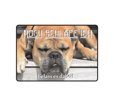 Schild Hinweisschild Hinweis ''Noch schlafe ich'' Belass es dabei Hund Dog Danger
