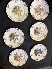 Lot 6 Assiettes décoratives fleurs des Alpes