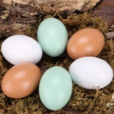 Huevos falsos de madera para manualidades Get Hens 6 piezas 
