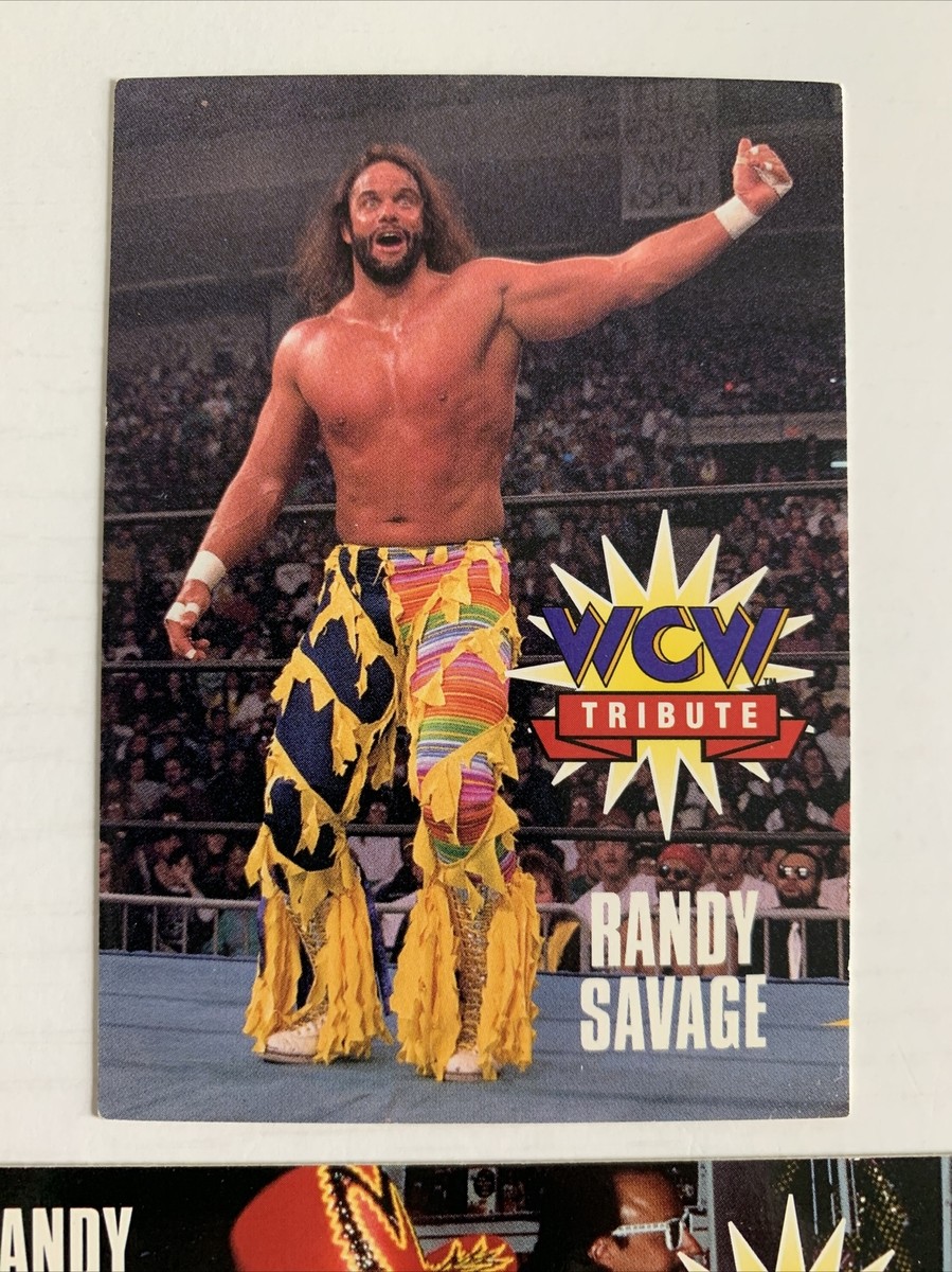 1995 Cardz WCW Tribute: Randy 
