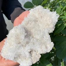 1.5LB Natural Clear White Chrysanthemum Crystal Himalayan Quartz Cluster Minera