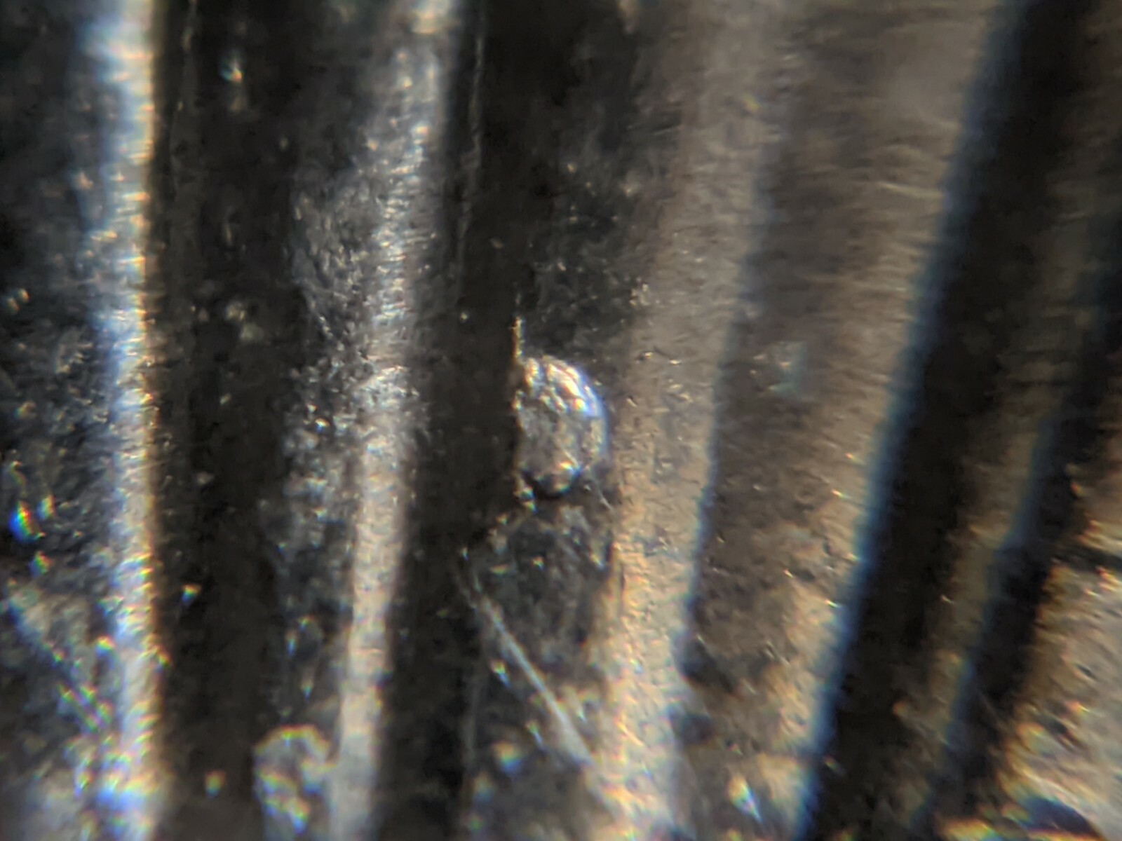 Picture 6 of 11