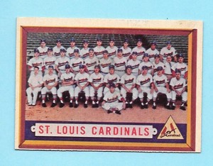 st louis cardinals team shop