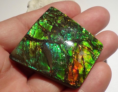 225 Carat.!! I Sammler Ammolite /Drachenschuppe Grün-Golden-Orange + VIDEO - Picture 3 of 8