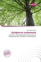 Jerold Angelus | Juniperus Communis | Taschenbuch | Englisch (2026)