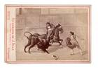 CAB Photo Art / Bullfighting - Seville 1870s