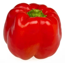 BIG RED SWEET PEPPER SEEDS * BLOCKY LARGE FRUIT * VERY SWEET * THICK FLESH * 20