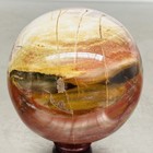 Natural Petrified Wood Polished Stone Quartz Crystal Sphere Ball Healing 1480G — photo 5