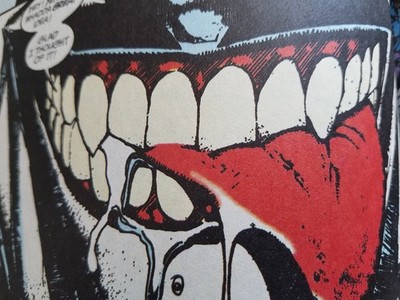 Lobo, Portrait of a Bastich' DC Comic Book Omnibus | eBay