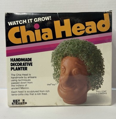 Vintage Chia Head the Professor, Chia Guy, Handmade Decorative Planter, 1995