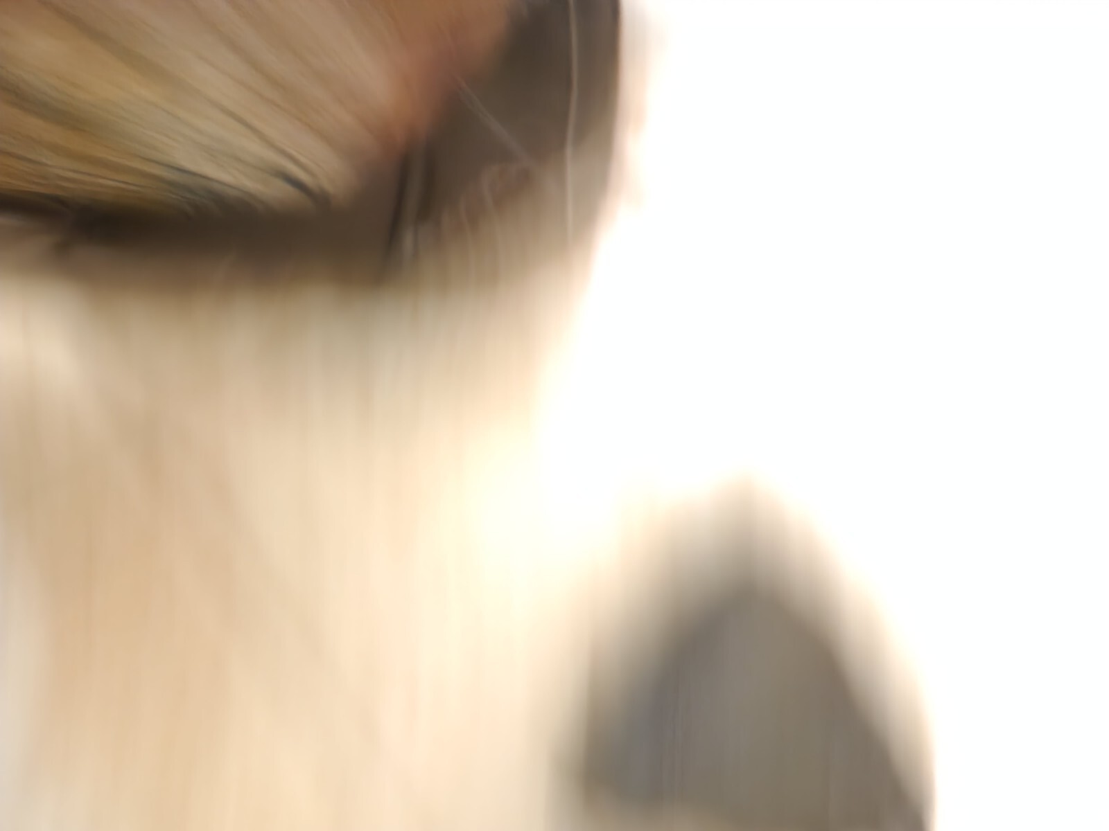 Badlands Bino X Case With Shoulder Straps And Bino Connect Kit