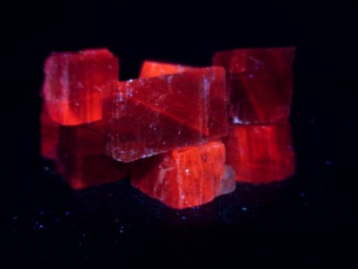 1lb Ancient Script Honey Calcite Rhomb Lot UV Fluorescent Pink MO 10pc