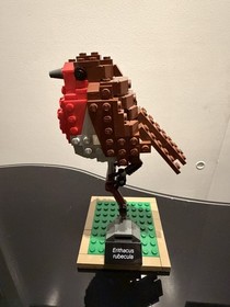 🐦 LEGO Ideas Birds 21301 Complete Robin Blue Jay Hummingbird Instructions 🐦 