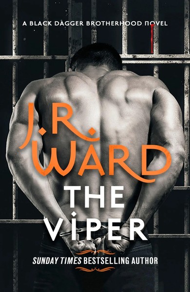 The Viper | J. R. Ward | Englisch | Taschenbuch | Kartoniert / Broschiert | 2023-image