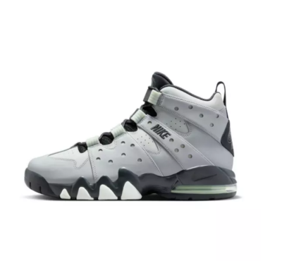 grey and white charles barkleys