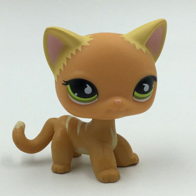 orange cat lps