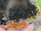 Foto 4 di 9