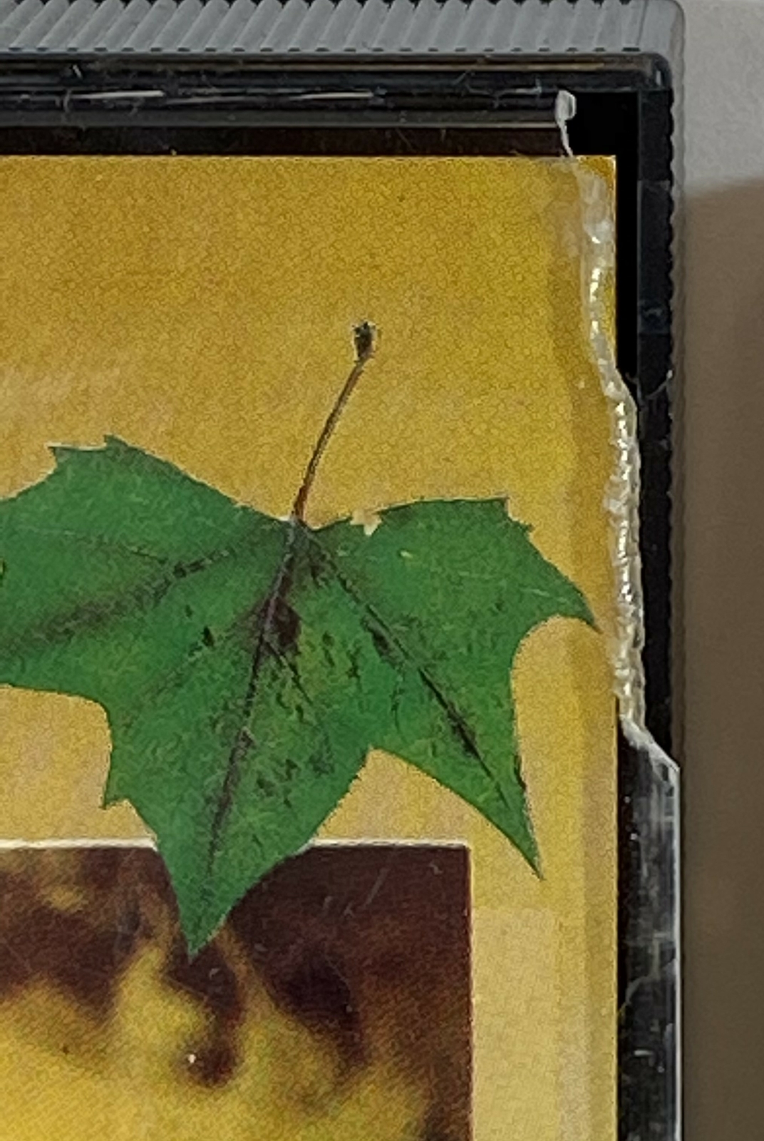 Picture 2 of 5