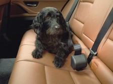 Kleinmetall Click´n Roll Auto Automatik Hundegurt Gurtrolle Sicherheitsgurt Hund