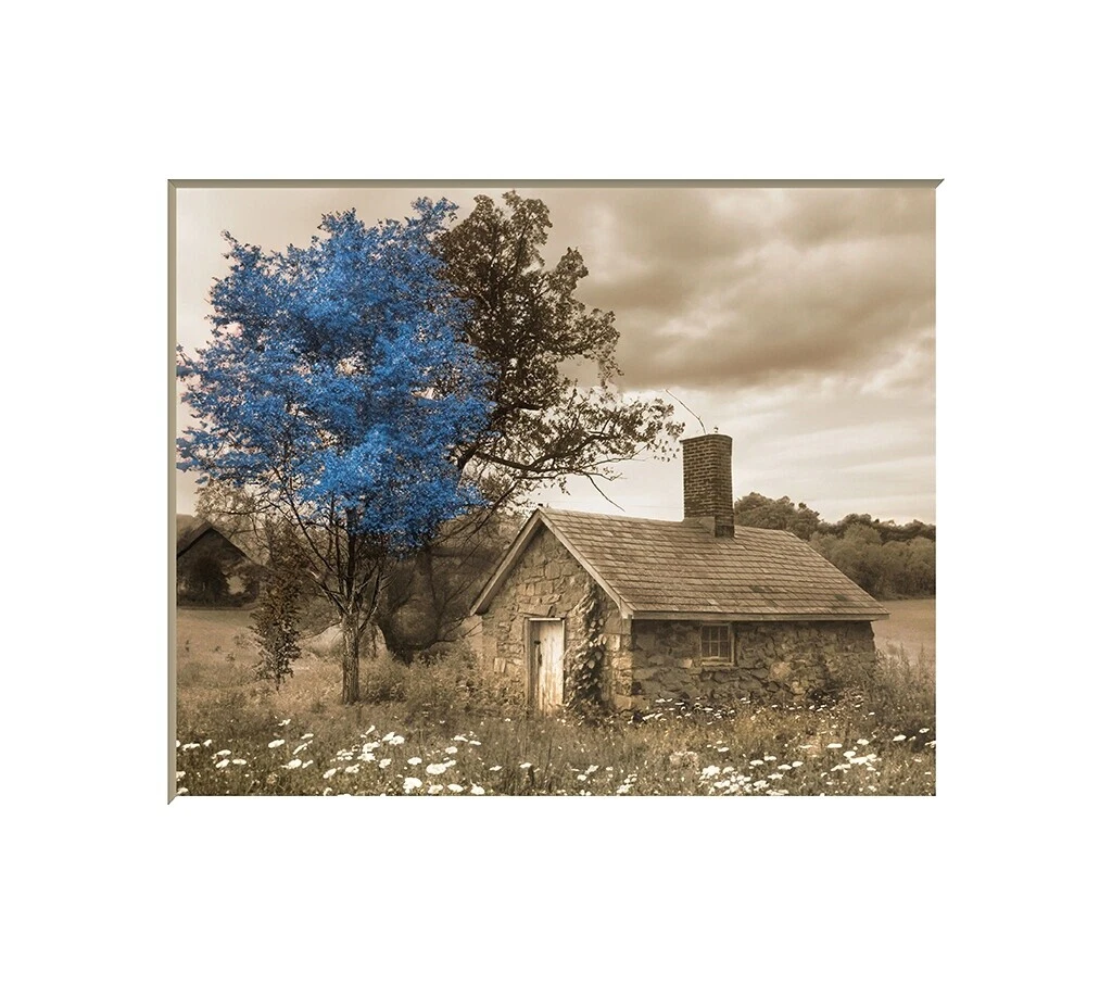 Decoración para el Hogar Handmade paisaje giclees y estampados de Iris