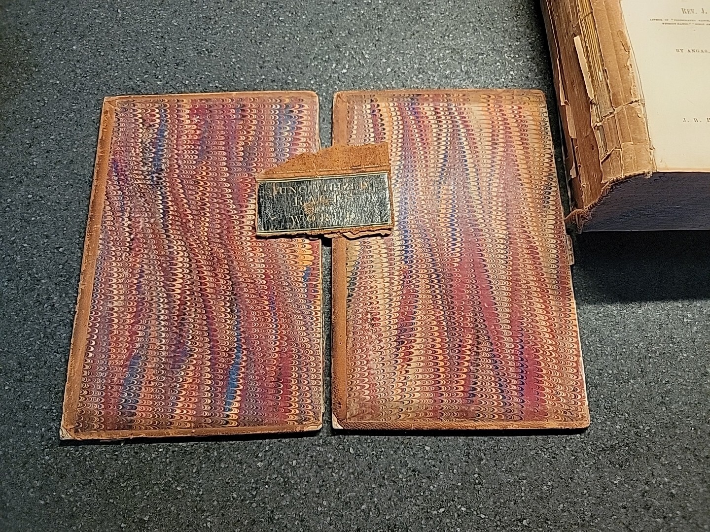 Picture 3 of 17