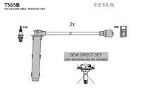 Tesla ZüNdleitungssatz ZüNdkabel Satz FüR Mg Mgf 1.8I 16V Land Rover