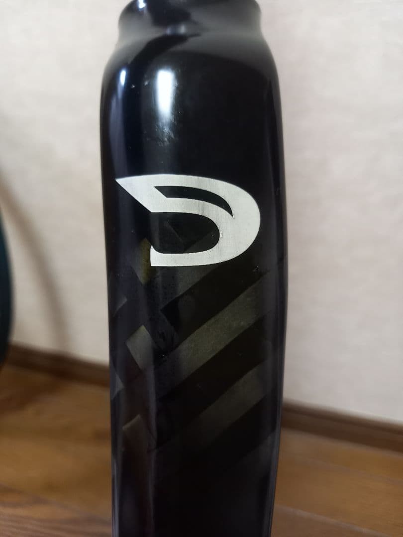 Alpina Alpina Full Carbon Road Fork Piste | eBay