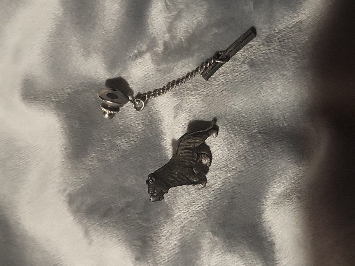 Kiola Designs silver-toned textured tiger tie tack View 6