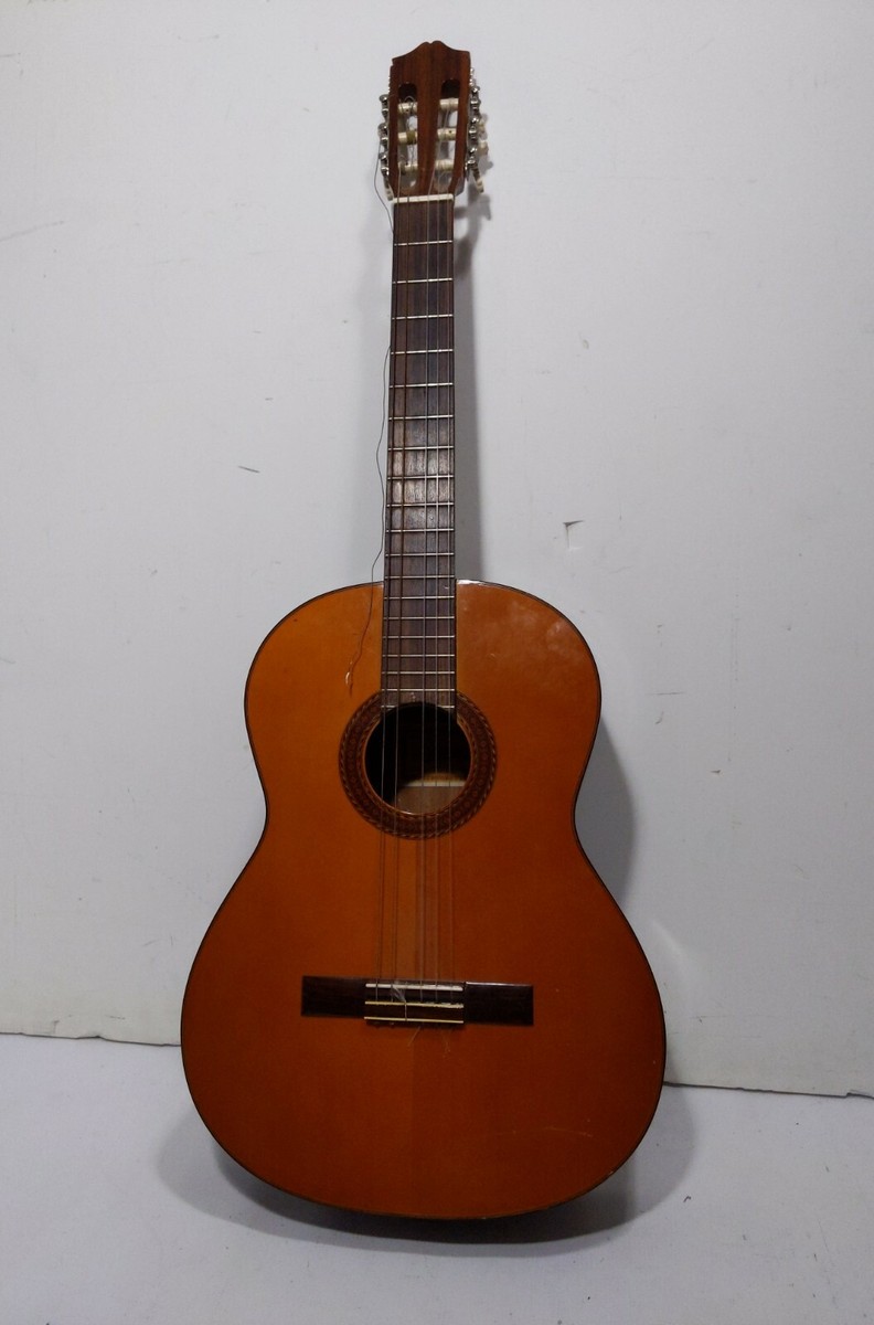 Vintage Ariana A580 Acoustic Guitar with Case Japan | eBay
