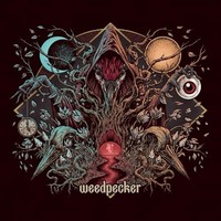 Weedpecker - V Magenta Vinyl - Vinyl Record - G72Z