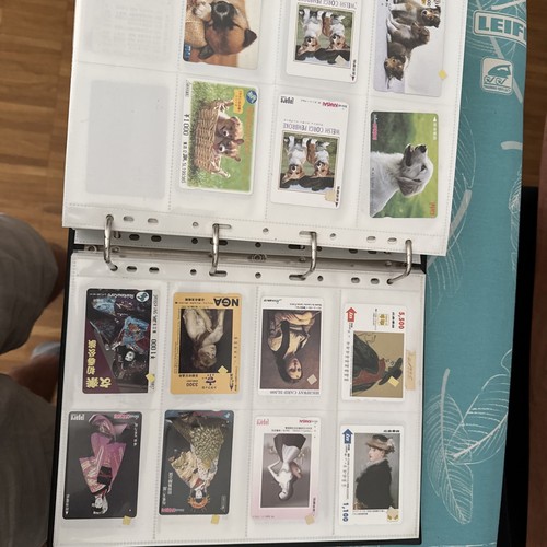 760 Asiatische Telefonkarten mit Ordner - Bild 20 von 23