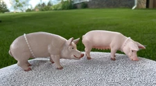 PIG BOAR & SOW by Safari Ltd; toy pigs/ display/ NEW with tags