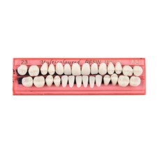 28Pcs Resin Teeth Model Durable Dentures Universal False 'Teeth Dental Material