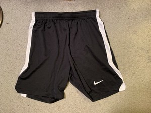 nike dry hertha ii short