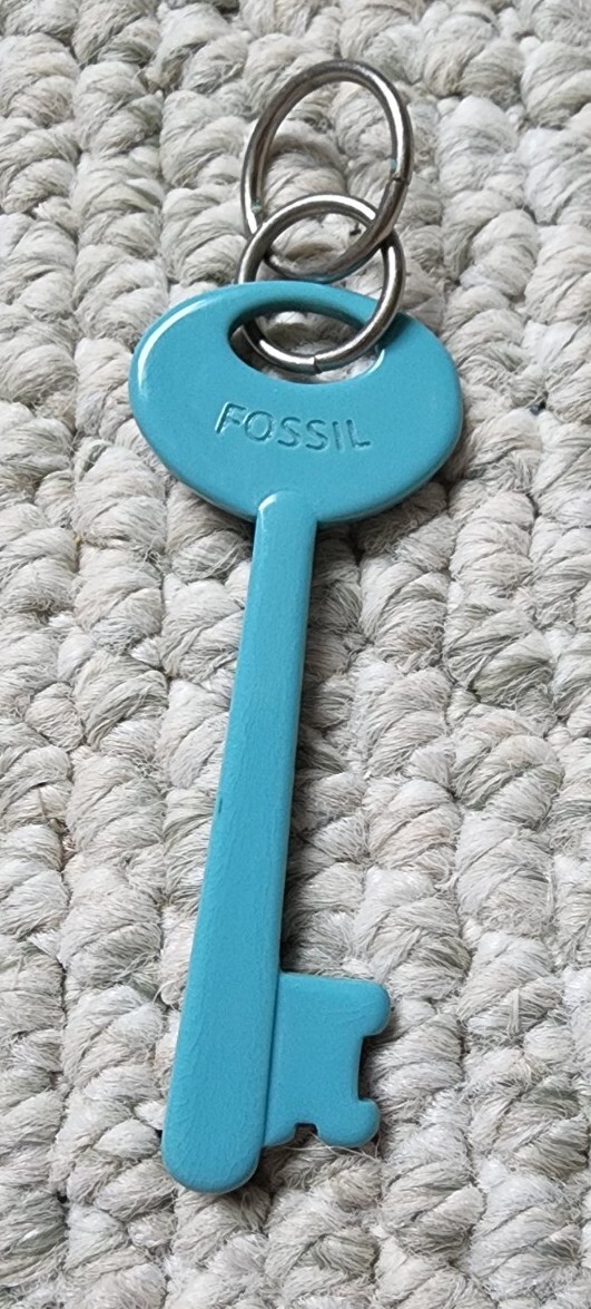 Fossil Teal Blue Plastic Skeleton Key Keychain Key Ri… Gem