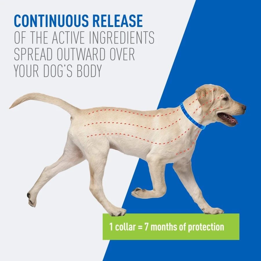 Adams Plus Flea & Tick Collar For Dogs Large Puppies Adult 7 Month Protection - Image 4 of 4