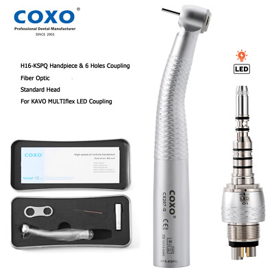 COXO Dental Fiber Optic High Speed Air Turbine Handpiece & 6H Coupler fit KaVo
