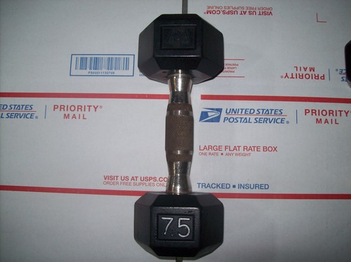 (1) HAMPTON 7.5lb. DUMBBELL CHROME KNURLED HANDLE Bodybuilding FITNESS exercise - Picture 2 of 2