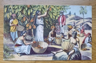 Broma & Luto Kakao Original 1907 Reklame Postkarte nach E Northrope ? Dartford Heath