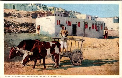 Vintage Fred Harvey Phostint Postcard Old Caretta Pueblo Laguna NM