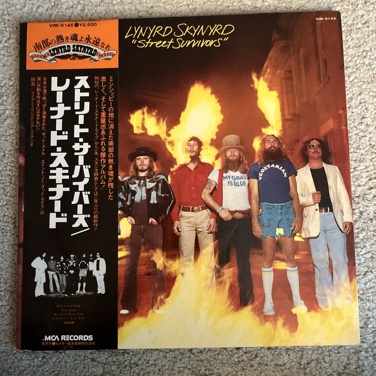 Lynyrd Skynyrd Street Survivors for sale - eBay