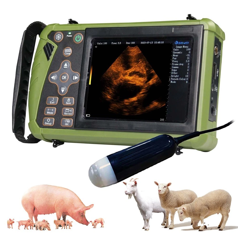 Tragbarer Veterinär Ultraschall Scanner für Schwangerschaft Schwein Schaf Hund - Bild 1 von 9