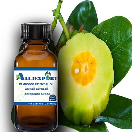 PURE CAMBODGE ESSENTIAL OIL Garcinia cambogia NATURAL HERBAL AROMA - 第 2/30 張圖片