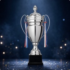Lidded Award Trophy Decorative Metal Trophy with Handles Tall for Sports Days