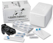 Complete Dog Semen Transport Kit w/ Coolant Pack / Syringes / Lubricants  More