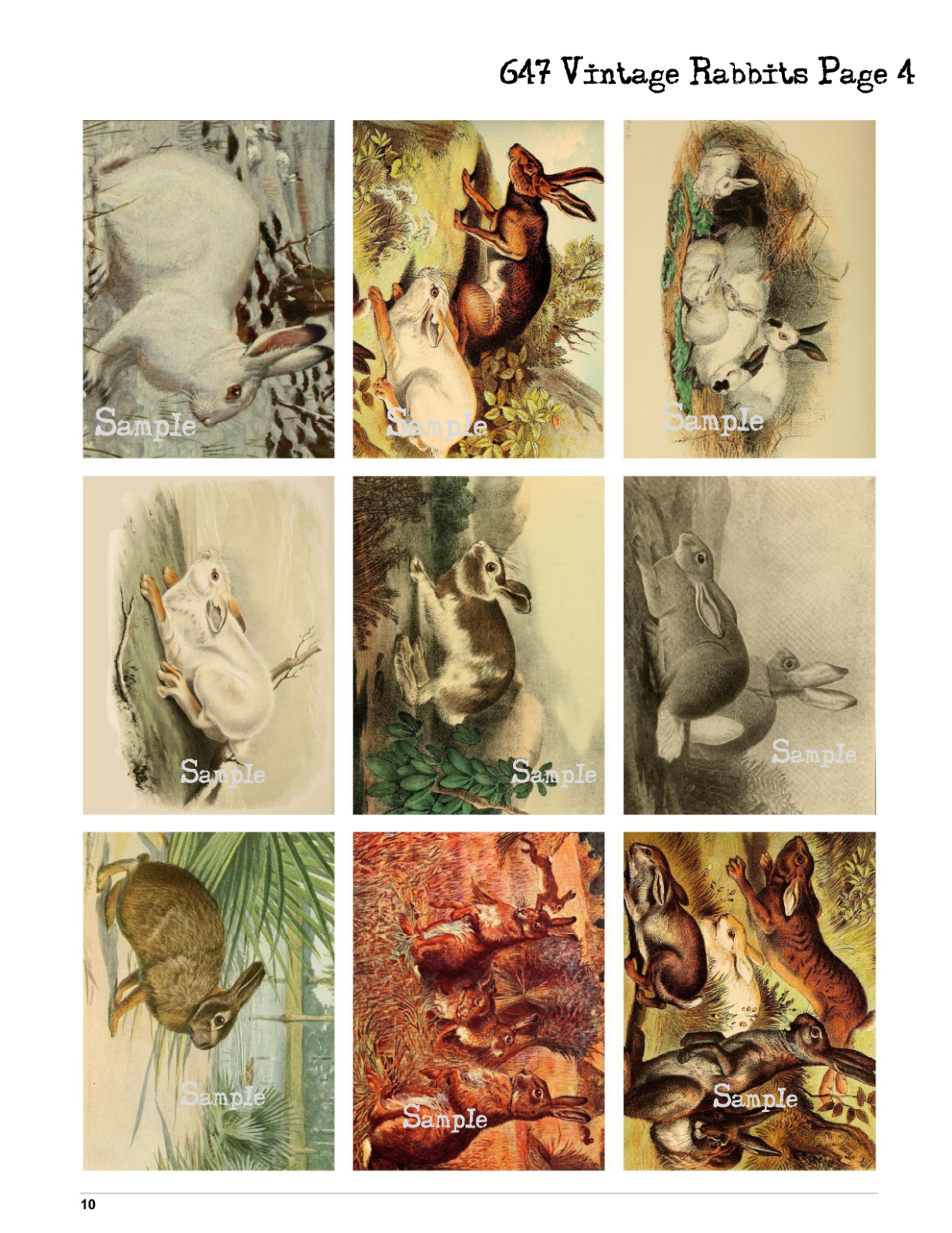 Junk Journal Supplies Vintage Rabbits Pg 4 Collage Scrapbook Card Making Gifts