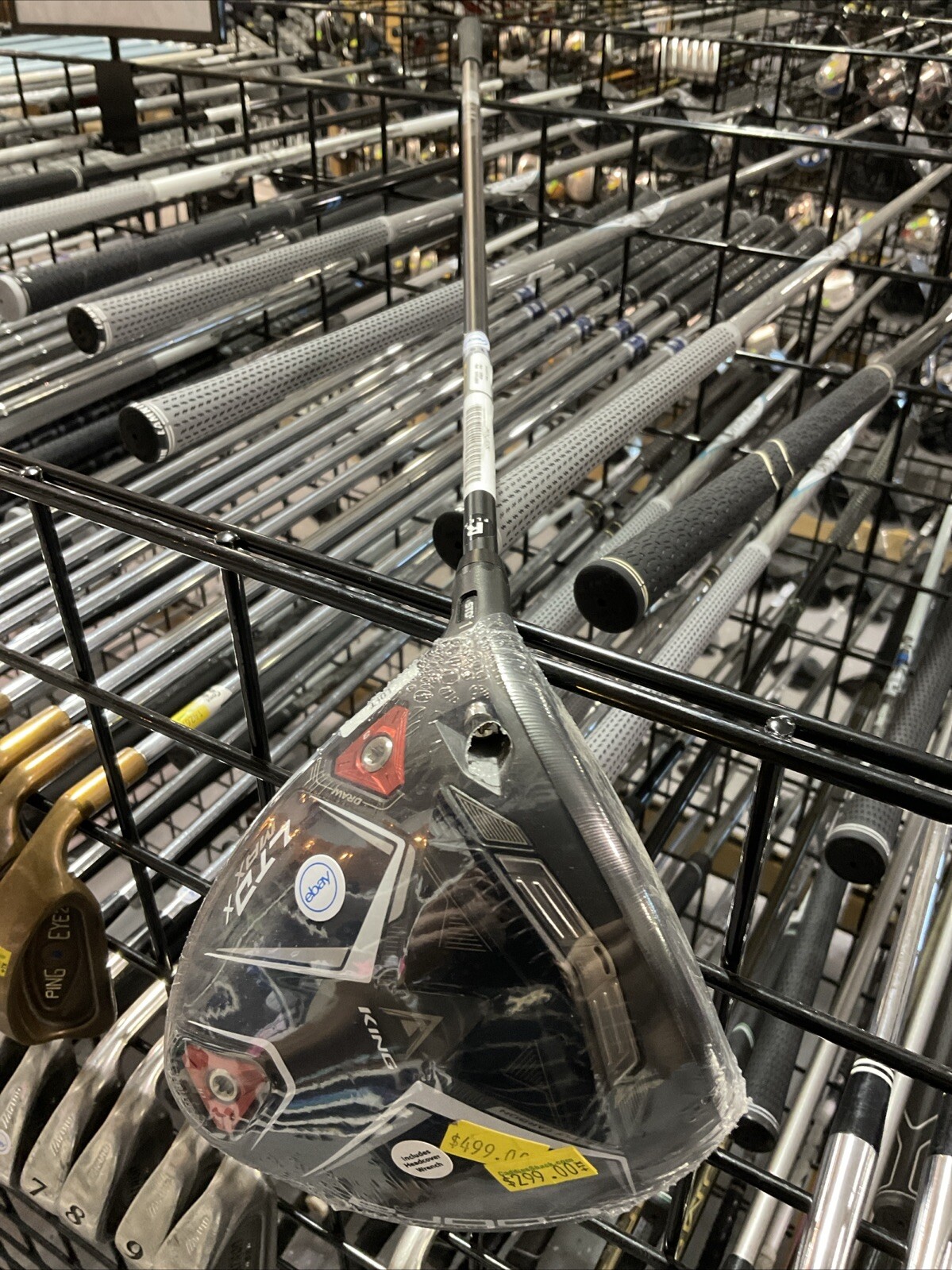 Picture 16 of 17