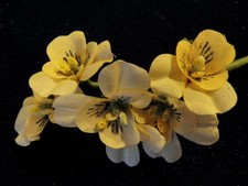 Vintage Millinery Flower 1.5" Violet Bunch Yellow Fabric for Hat or Hair Y76A