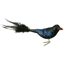 Old World Christmas Glass Blown Ornament, Raven (With OWC Gift Box)