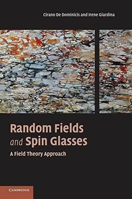 Random Fields and Spin Glasses: A Field Theory Buch Cambridge University Press